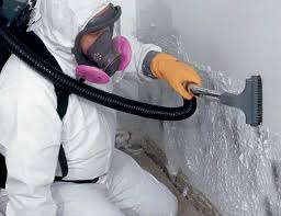 Best Environmental Consulting for Mold Prevention  in Cutchogue, NY